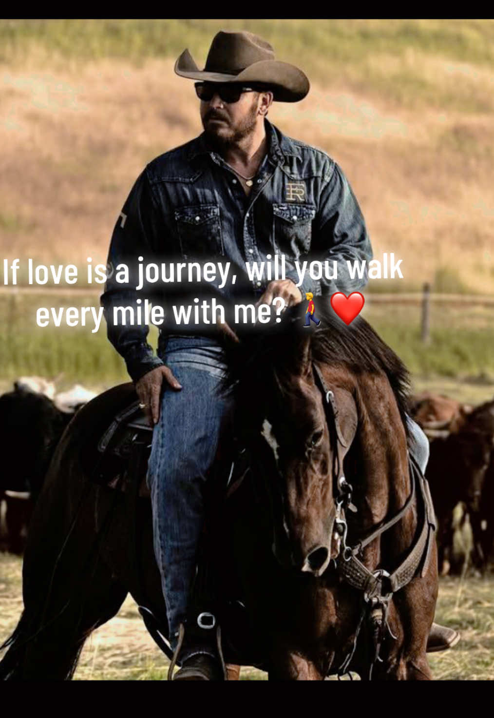 #colehauser #colehauserfans #colehauseryellowstone #fyp 
