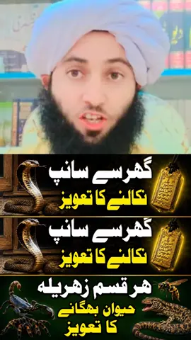#سانپ🐍  #viralvideos  #makkahmadinah🕋  #reels  #islamic 