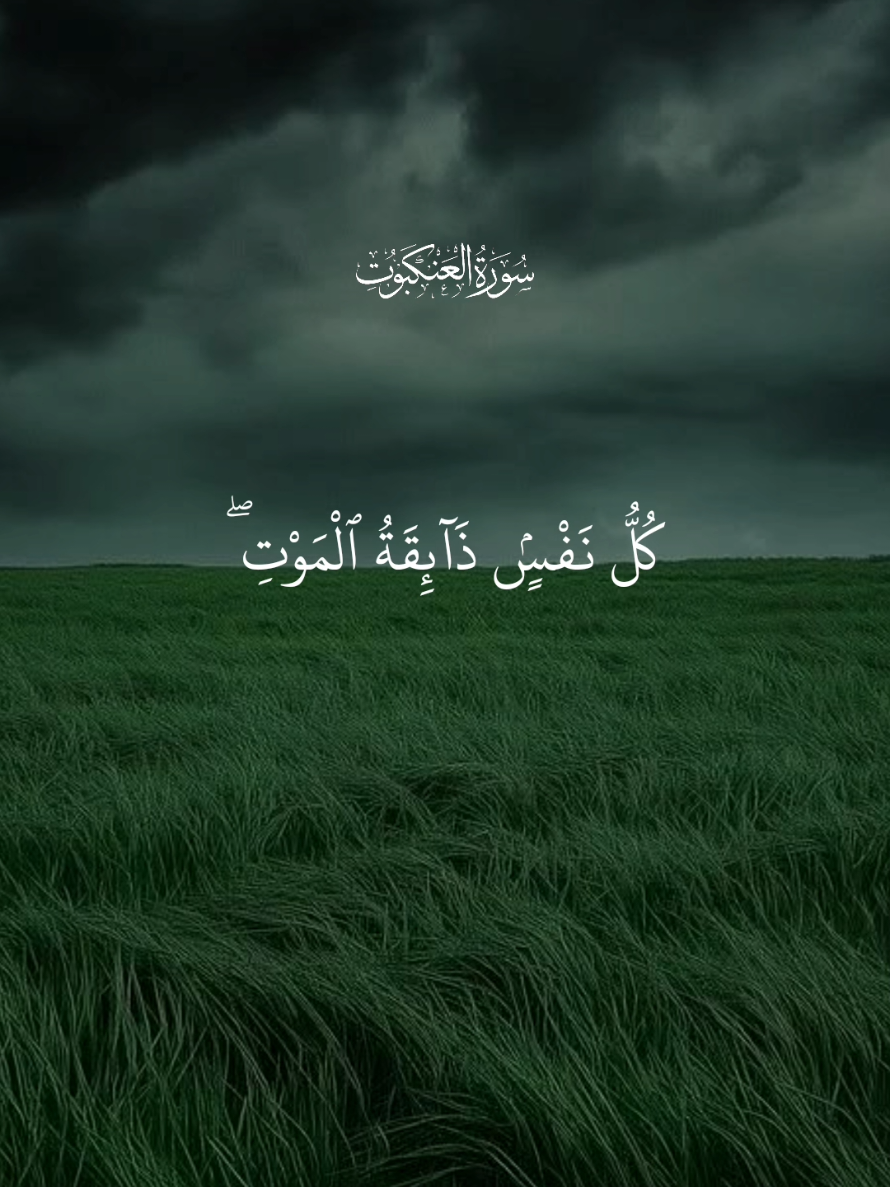 Kulo Nafsin Zaikatul Maut🎧🥺 #fyp #foryou #quran #viraltilawatulquran #quranrecitation #tilawat #beautifulquranrecitation #growmyaccount #tiktok #pakistan 