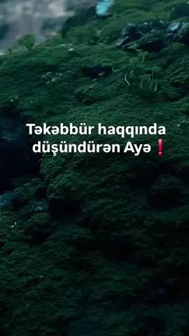 #quran