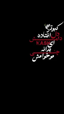 اگ خوشت اومد ی سری ب پیجمبزن❤  .  .  .  .  #Clip#The movie