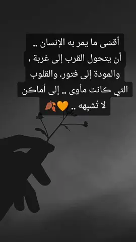 #راقت_لي صحيح #🧡 🥀 #foryou #fyp #viralvideo 
