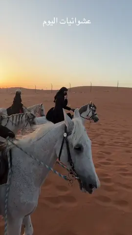 عشوائيات اليوم 🥷🏼 #ماشاءالله_تبارك_الله_اذكروا_الله❤️  #خيل_وخياله🐎  #مواكبه #منتجع_كاف_للفروسية🐎 