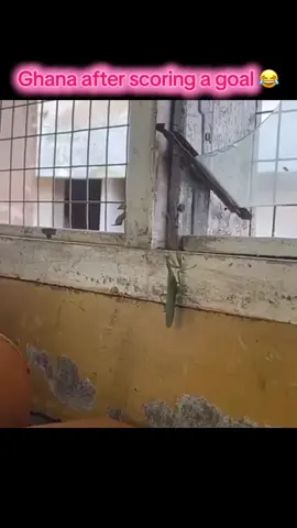 #ghanatiktok🇬🇭 