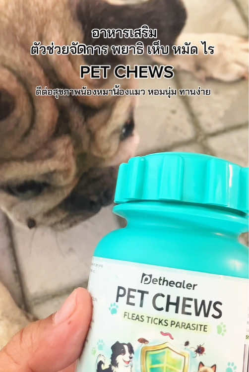 #กําจัดเห็บหมัด #petchews #เห็บหมัด #หมาแมว #เผื่อใครถามว่าซื้อที่ใหน  @รีวิวที่ใช่  @รีวิวที่ใช่ 
