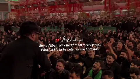 Haye 💔 . . . . #shiastatus #shahadat #aliakbar #foryou #fypシ゚viral 