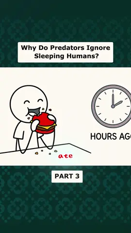 Why Do Predators Ignore Sleeping Humans ? #stickly #human #sleepinghumans #psychologyfacts #predators 