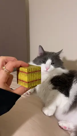 bu şarkıdan gelen tüplü bilgisayar ve 2000ler hissi>>> #Minecraft #minecraftdiy #minecrafttutorial #gaming #paintingminecraftblocks 