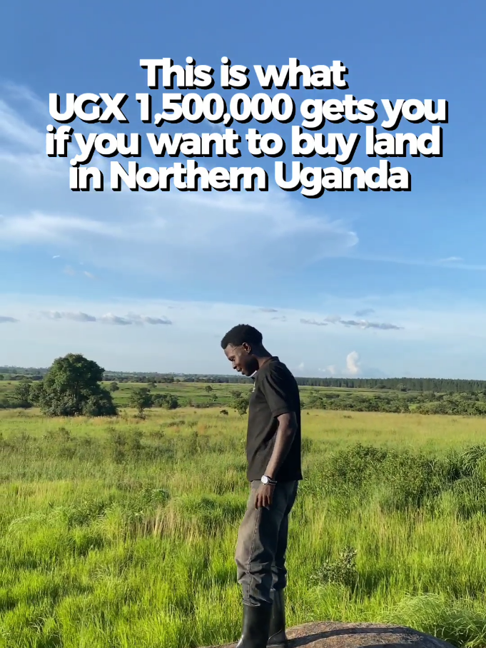 200 acres of land for sale  now available at only UGX 1.5M per acre in Amuru District  Ideal for: ✅ Large-scale agriculture ✅ Ranching ✅ Tree planting ✅ Coffee farming ☎️For inquiries or inspections, Call: +256 769 609538 or +256 746 073364 #creatorsearchinsights #northernuganda #agriculturetiktok #realestateinvesting #cheaplandforsale 