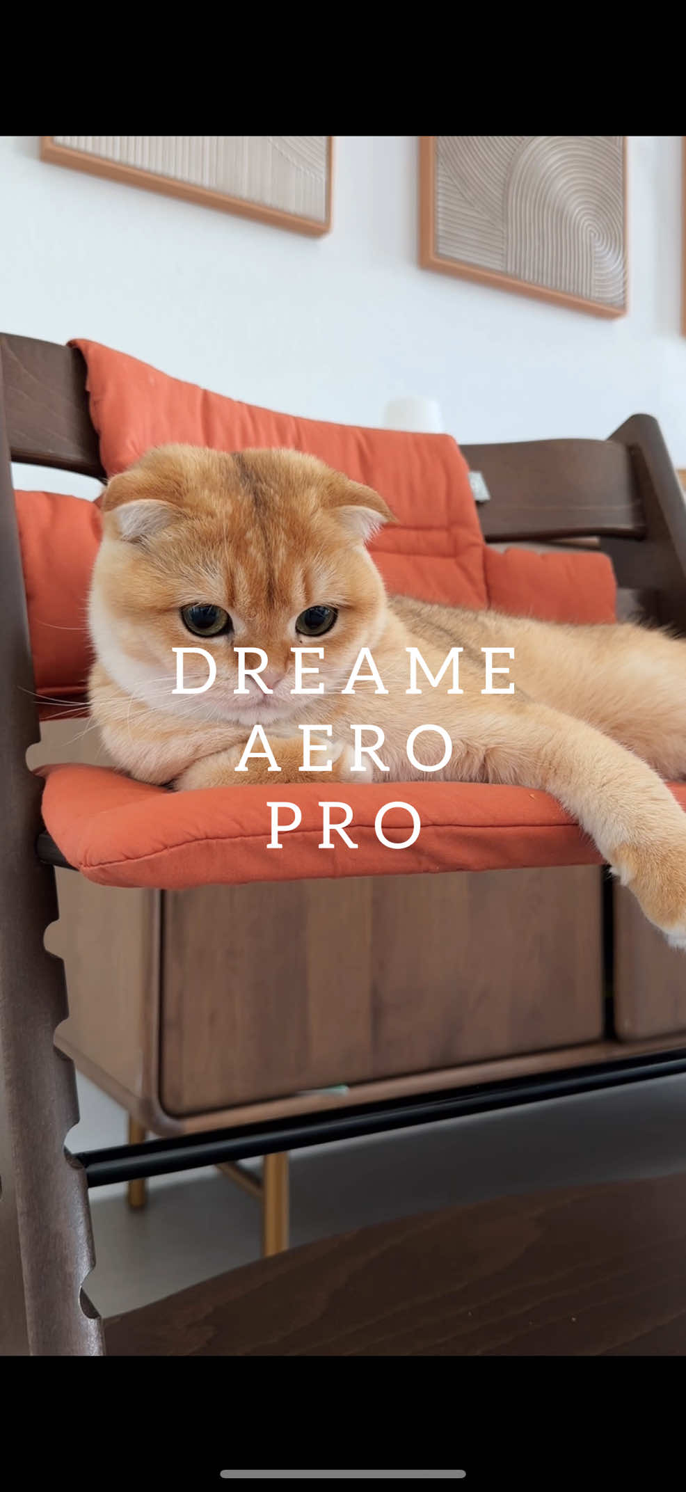 Meet my new cleaning bestie 🤍✨ Dreame Aero Pro makes cleaning so much easier. With two little kids, there are always crumbs, spills, and messes to clean up, and this vacuum mop handles it all. Definitely a must-have for every busy household! Use my exclusive code: AERO12YJ 🛍️ Enjoy up to 34% OFF and get the Dreame Aero Vacuum Mop for only $199.99! #dreame #dreameaero #vacuummop #Aero #amazondeal Dyson @DreameUS 