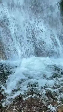 #kashmirnaturebeauty #naturevideo #foryou #forpage 