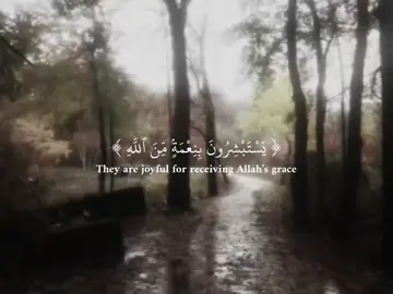 سورة آل عمران #قران #islamic_video #muslim #quranrecitation 