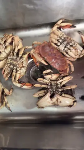crab #food 