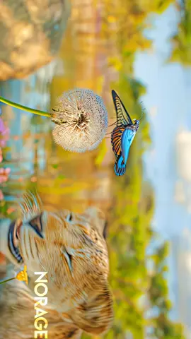 240fps 4k #edit #viral #4k #240fps 