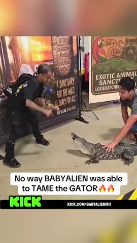 No way BABYALIEN was able to TAME the GATOR🔥🔥. #babyalien #babyalien1111 #fyp 