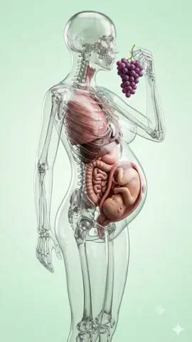 When you eat grapes during pregnancy ❤️#humanbody #medical #pregnantlife #pregnancy #grapes 