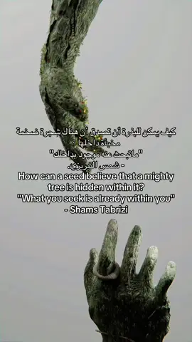 استمع الى مافي داخلك وانصت جيداً فبذرتك اليوم شجرة ضخمة غداً ..   #اكسبلوررر #اكسبلورexplore #ترند_تيك #الشعب_الصيني_ماله_حل😂😂😂 #ترند 