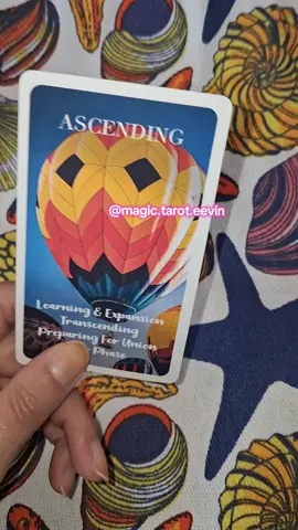 🔮No contact🔮Perché? ⚠️Unico profilo di Eevin Magic Tarot⚠️ ↪️non seguo nessuno ↪️no consulti privati ↪️non ti mando messaggi in privato  #tarocchiamoreoggi #magictarot 