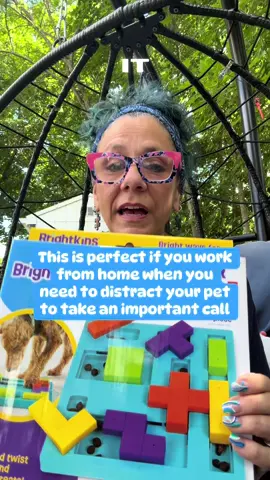 #dealsforyoudays #summervibes #brightkinstreatpuzzle #itsadogslife #fyf 