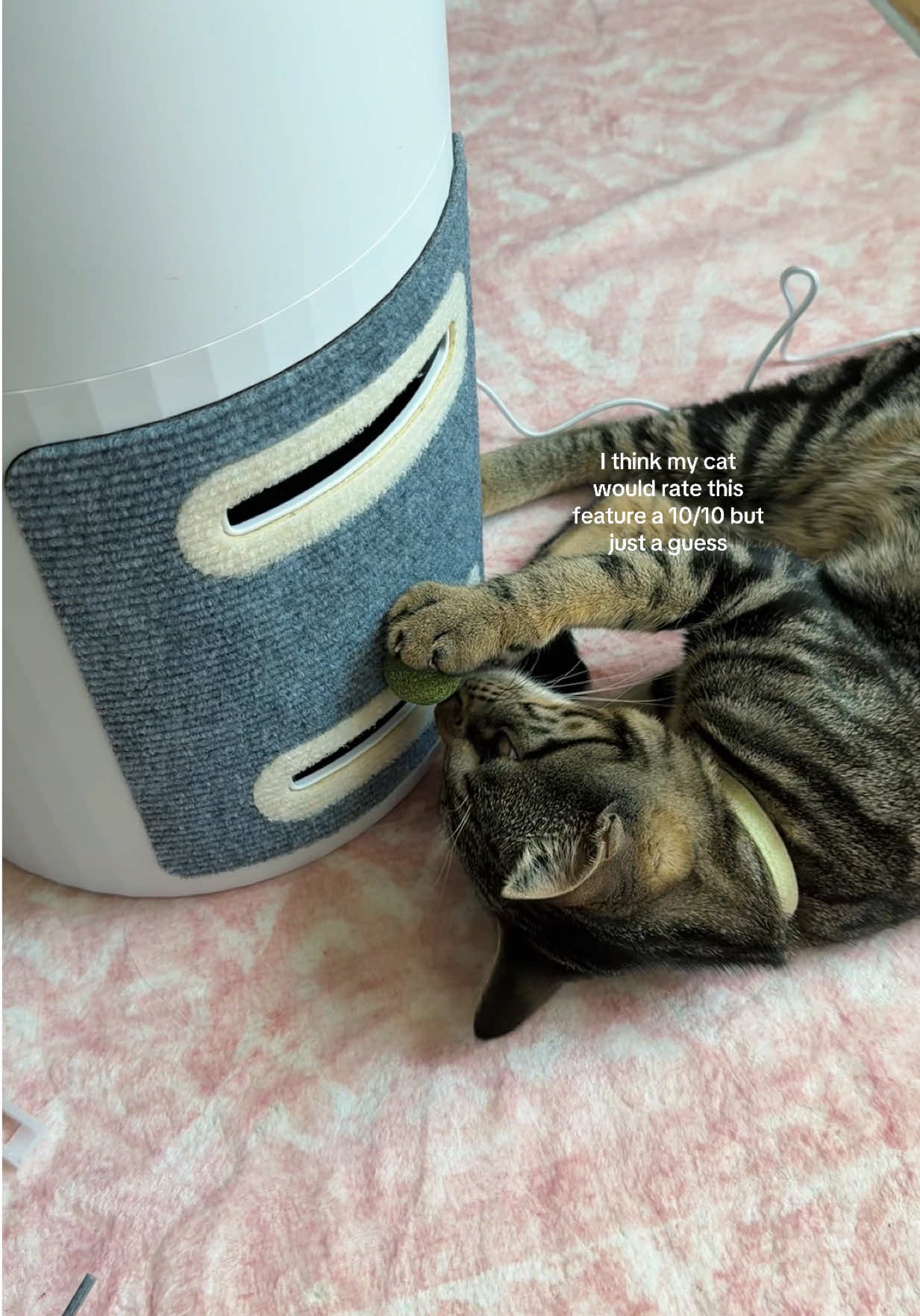 The manufacturers knew what they were doing 😂 #airpurifier #dealsforyoudays #airpurifierportable #cattok #catmom 