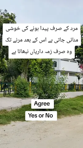 #creatorsearchinsights #unfrezzmyaccount #foryou #trending #viraltiktok 