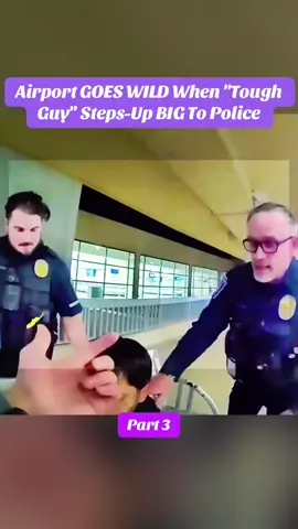 Airport GOES WILD When 