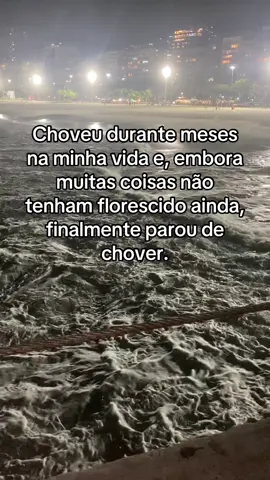 🤍🕊️#fyyyyyyyyyyyyyyyy 