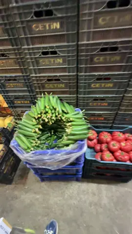 #bayrampaşasebzemeyvehali #halno83 #kalitenintekadresi 🍅🌶️🫑🍆🍋🥒
