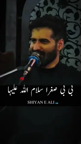 بی بی صغرا سلام اللہ علیہ  #foryou #foryou #foryou #SHIYAN E ALI 🌎🌎#foryou 