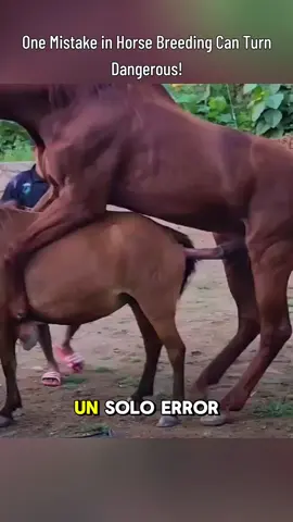 One Mistake in Horse Breeding Can Turn Dangerous! #tiktokgrowthchallenge 