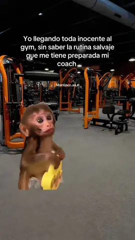 Menciona a ese salvaje coach 🤭