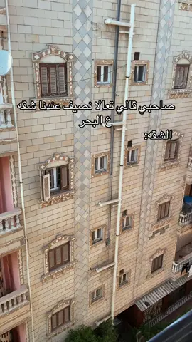 #الشعب_الصيني_ماله_حل😂😂 #viral 