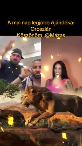 Az ÉLŐ adásom egyik legjobb Ajándéka. Köszönöm, Mázas! Hálás vagyok a támogatásodért.@Mázas #tiktoklive #livehighlights #lion #livegift #oroszlán 