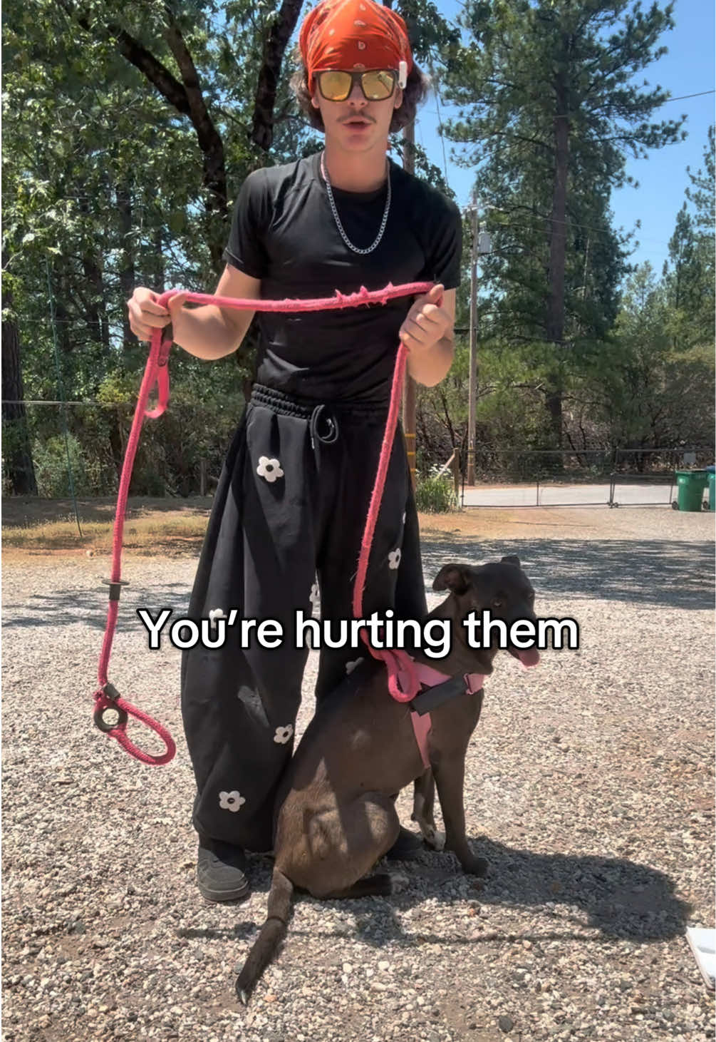 You’re choking them. These should be illegal. #DogHarness #DogSafety #StopThePull #ComfyCanine #dogfriendly 