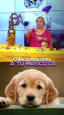 🔮 TE DIGO TODAS LAS RESPUESTAS QUE TU DESEAS SABER !   📲 CONSULTAS AL : +51 985 820 887 TAMBIÉN HAY DE MANERA PRESENCIAL SEPARA TU CITA  ✨ #mascota #perros #vidente #fyp 