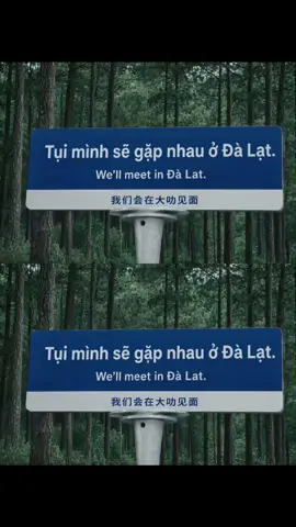 📍Đà Lạt.                                                                #dalat #dalatstory #dalattrip #dalatmongmo #fyp 