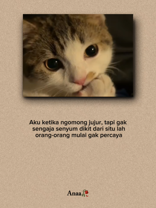 #quoteslucu #kucinglucu #indiasong #foryoupage #xbcyza 