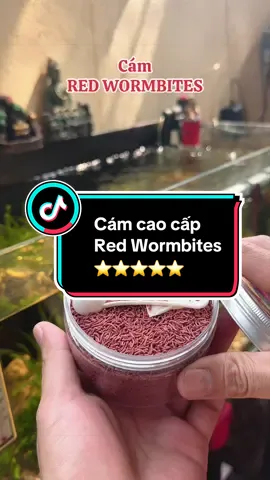 Cám cá thuỷ sinh cao cấp RED WORMBITER#giangchoica #nuoica #camca #camcathuysinh #thucanchoca 