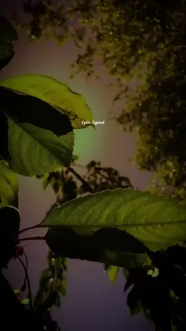 ..~O kithy busy ho janab #😔🖤🥀❤️