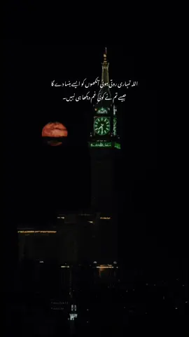 InshaAllah 🌷🤍#creatorsearchinsights #allah #islamic_video #fyp #islamiccontent 