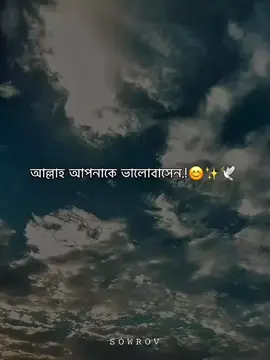 আল্লাহ আপনাকে ভালোবাসেন.!😊✨🕊️#trending #fyp #viral #islamic_video #foryou @TikTok Bangladesh @TikTok 