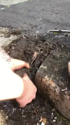 Satisfactory dredging. #dredge #relax #satisfying #oddlysatisfyingvideo #usa 