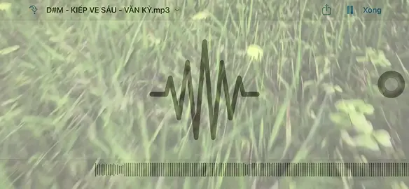 KIẾP VE SẦU - VĂN KỲ #xuhuong #xuhuongtiktok #remix #vinahouse #tinogroup 