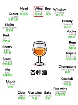 各种酒和交通事故英语单词#英语#英语单词短视频 #英语单词 #实用英语 