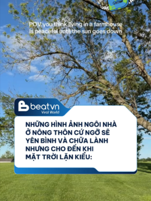 Trung bình những cảnh quay phim ma =))) #beatviralworld #beatnetwork #bnetwork #beatvn #beatoflife