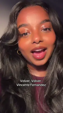 A little tribute to the great Vincente Fernandez 🇲🇽❤️ #fyp #volver #vincentefernandez #cover #spanish 