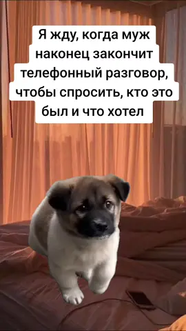 #муж#жена#жиза#прикол 