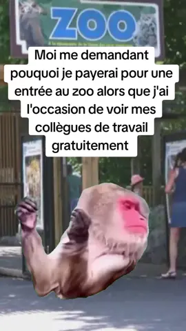 #Meme #MemeCut #CapCut #humour 