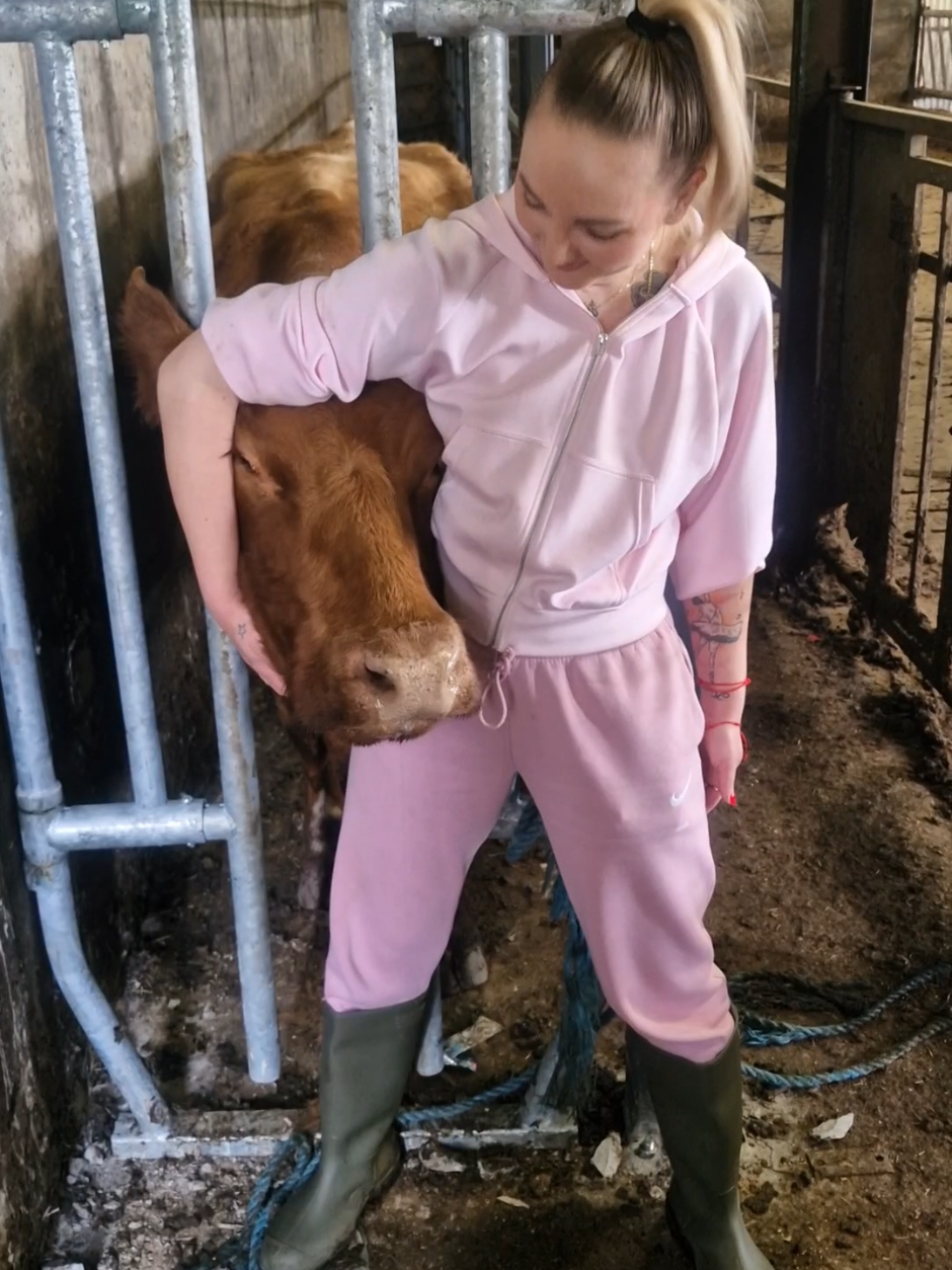 Odpowiadanie użytkownikowi @howya04 She may have won, but I got her in a headlock first😉#ireland #headlock #cows #polishgirl #fyp 