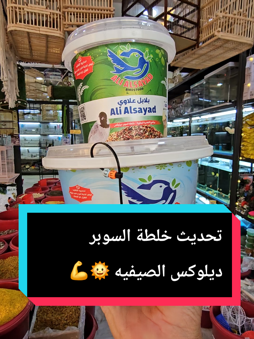 #خلطه_بلابل #AliAlsayad #علي_الصياد #بلابل_علاوي 